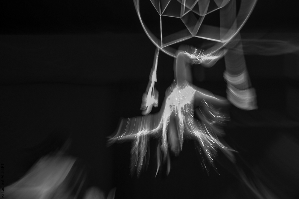 Cheval Passion 20220123-5602