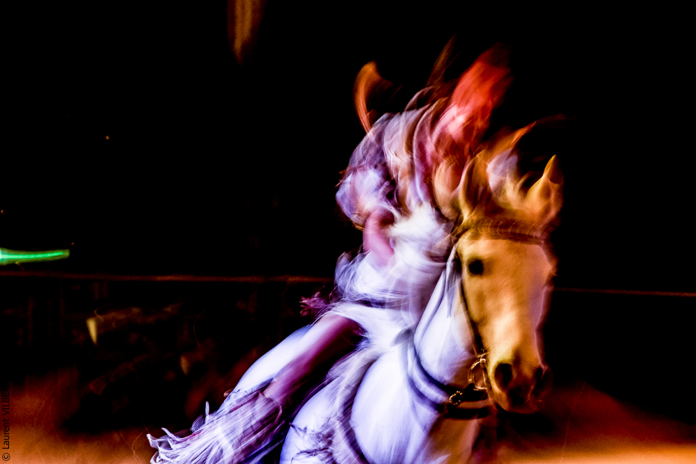 Cheval Passion 20220123-5619