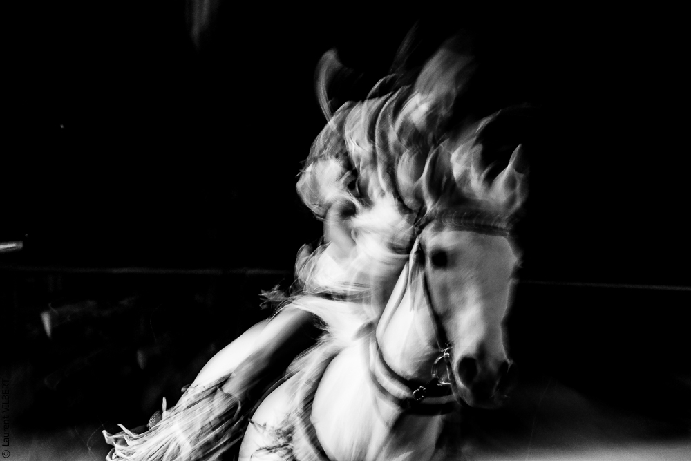 Cheval Passion 20220123-5619