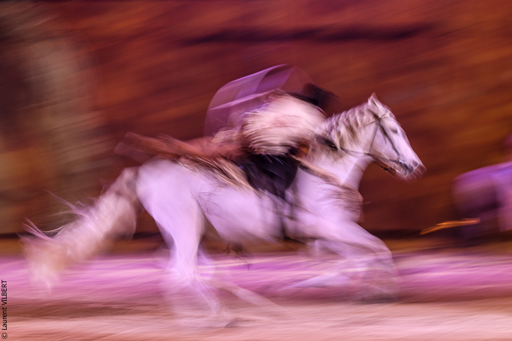 Cheval Passion 20220123-5626