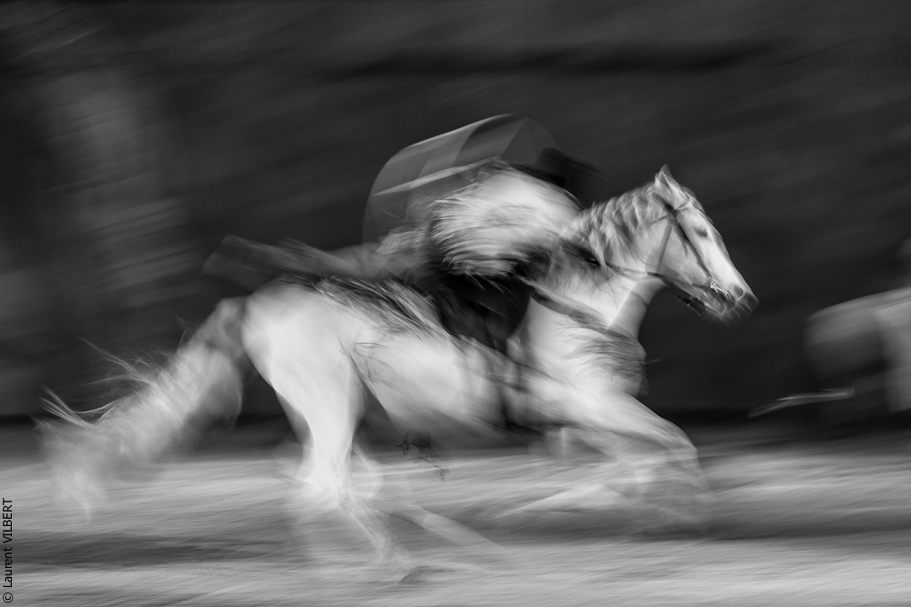 Cheval Passion 20220123-5626