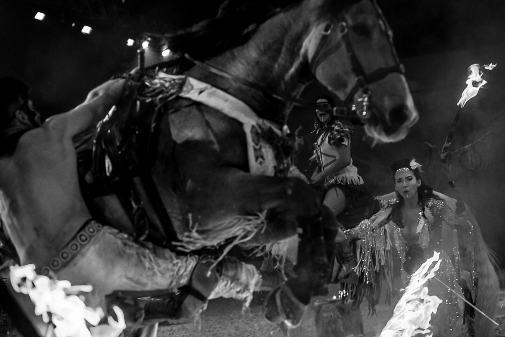 Cheval Passion 20220123-5639