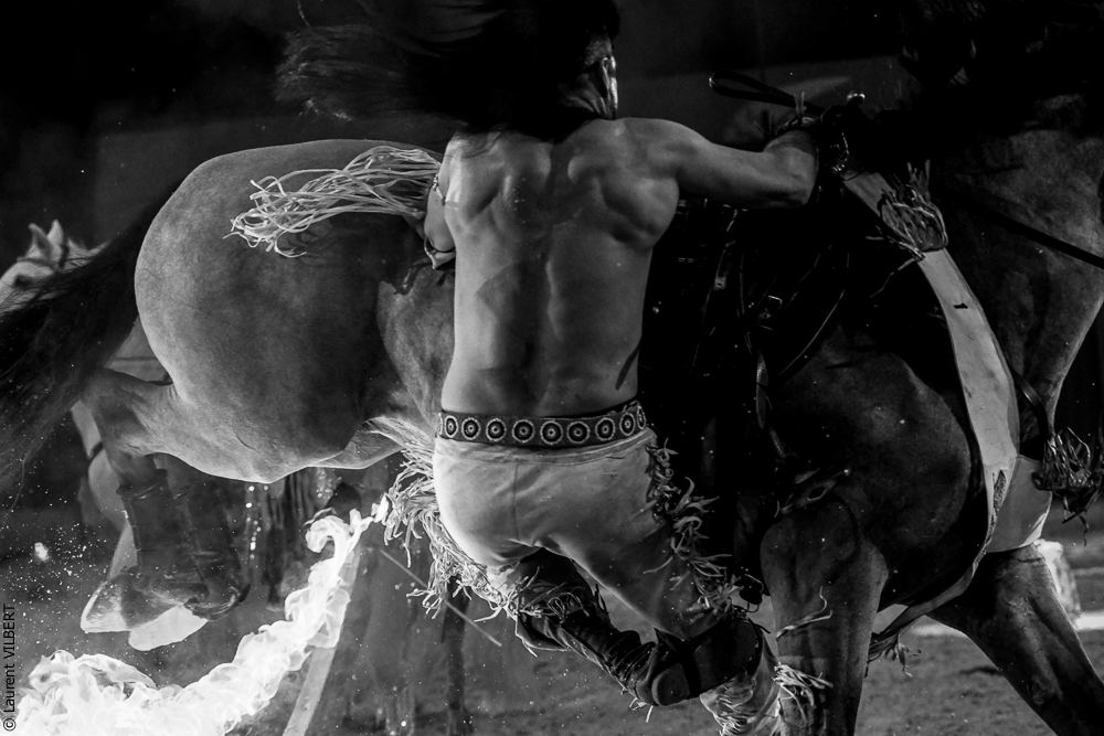 Cheval Passion 20220123-5641