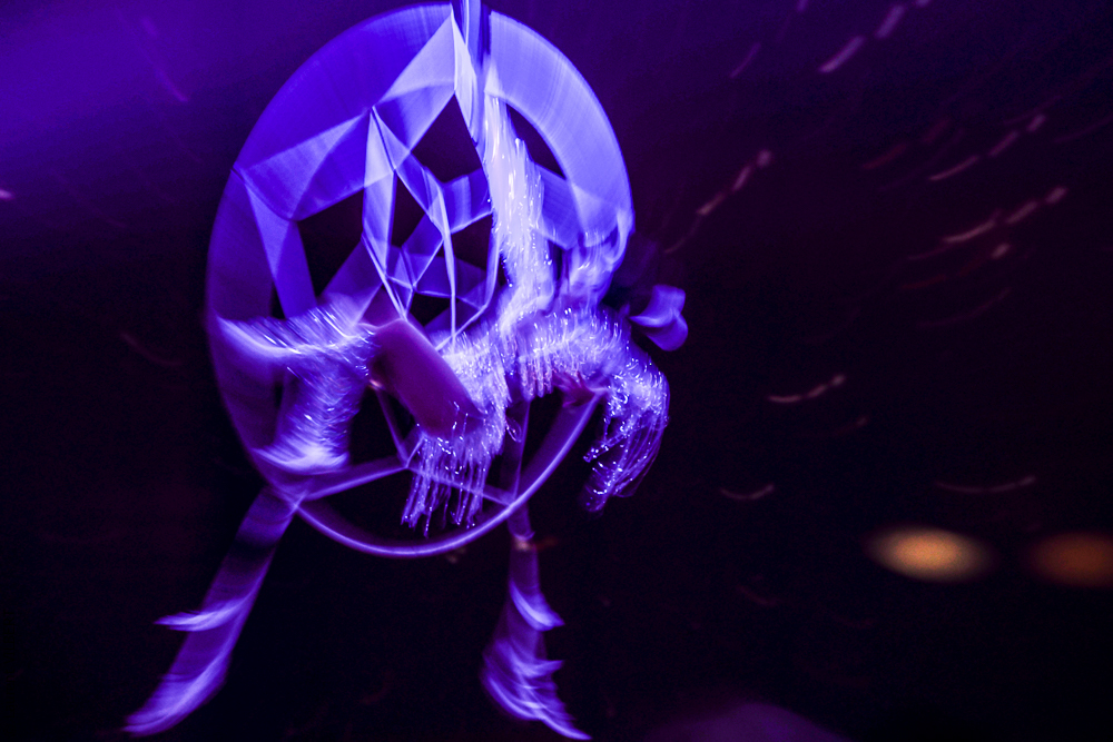 Cheval Passion 20220123-5644