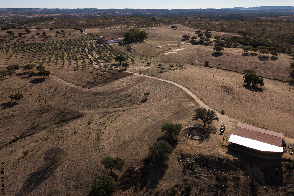 Antonio 20171108-014