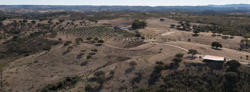 Antonio 20171108-016