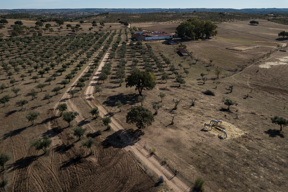 Antonio 20171108-040