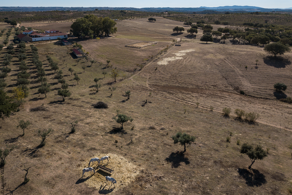 Antonio 20171108-044