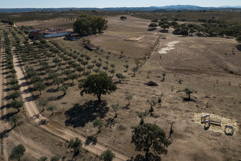 Antonio 20171108-046