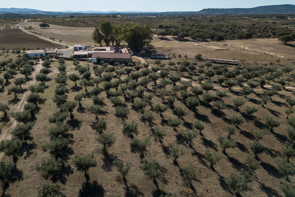 Antonio 20171108-047