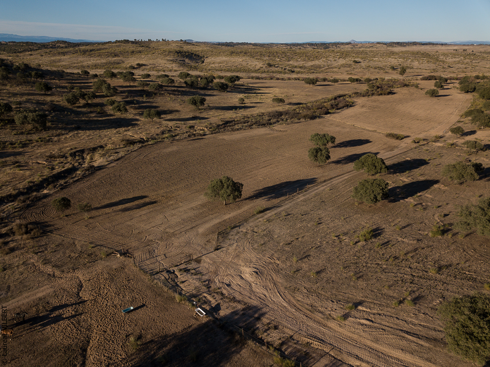 Antonio 20171108-084