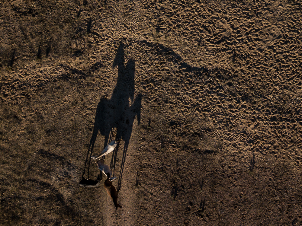 Antonio 20171108-087