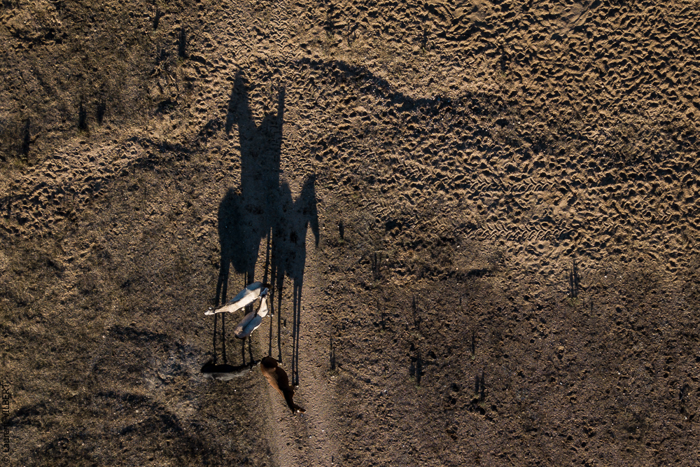 Antonio 20171108-088