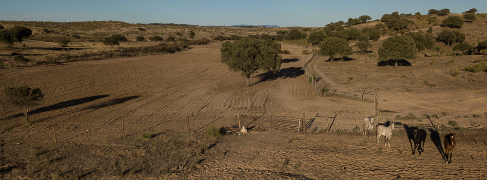 Antonio 20171108-101