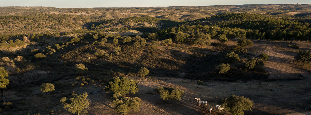 Antonio 20171108-117