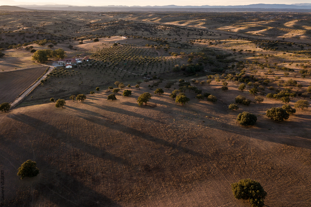 Antonio 20171108-144