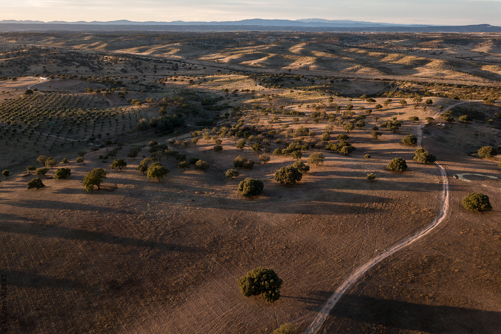 Antonio 20171108-146