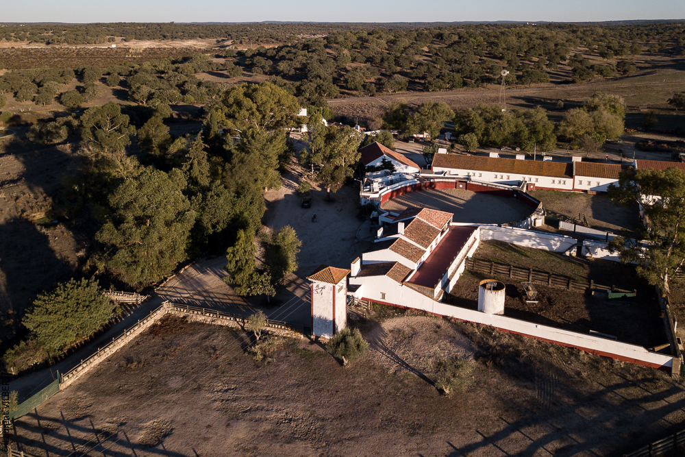 Pedrogao 20171113-0291