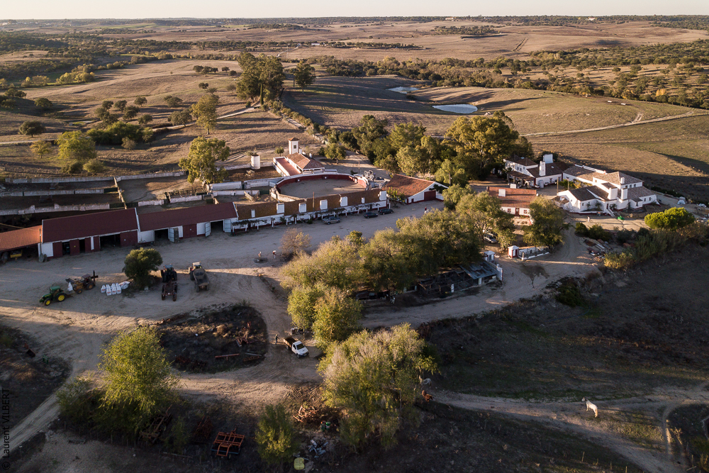 Pedrogao 20171113-0294