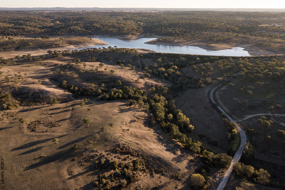 Pedrogao 20171113-0324