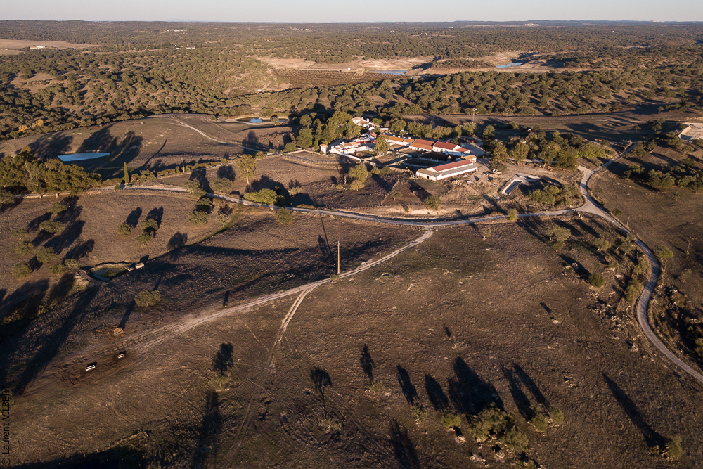 Pedrogao 20171113-0327