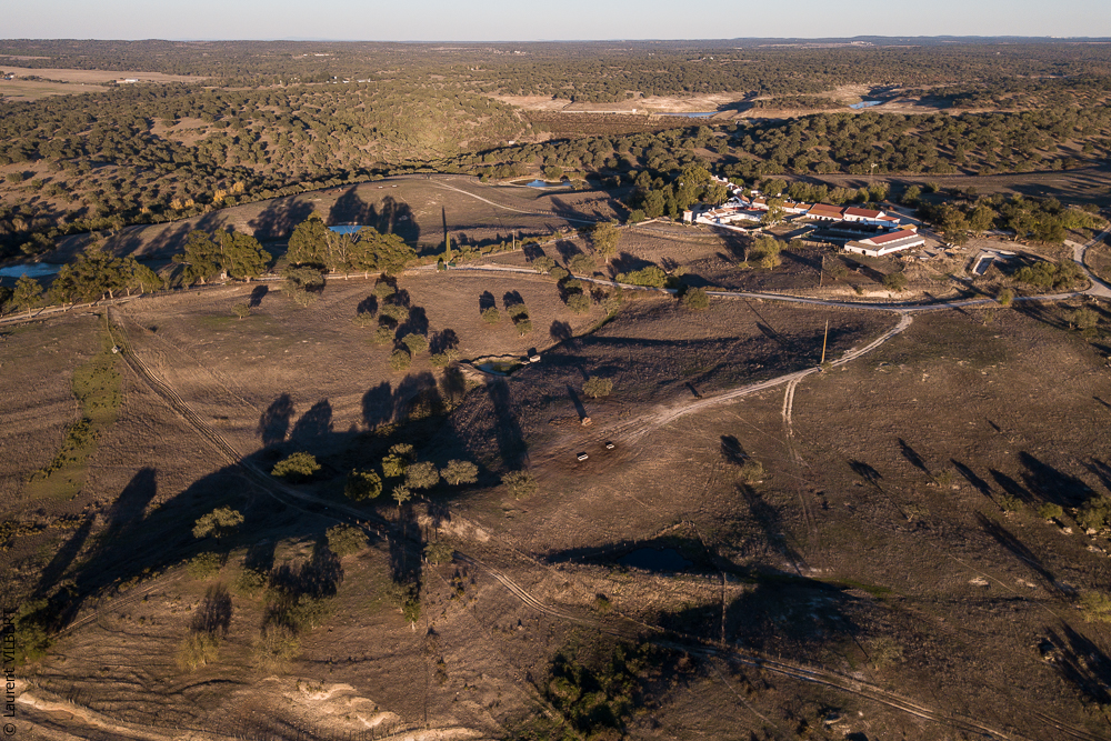 Pedrogao 20171113-0328