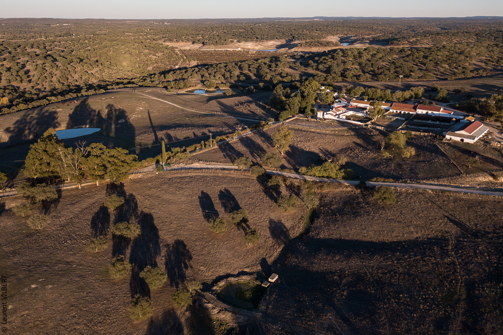 Pedrogao 20171113-0329