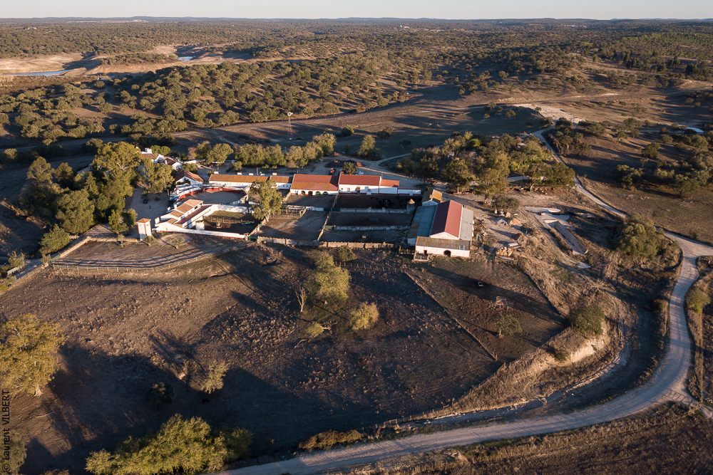 Pedrogao 20171113-0334