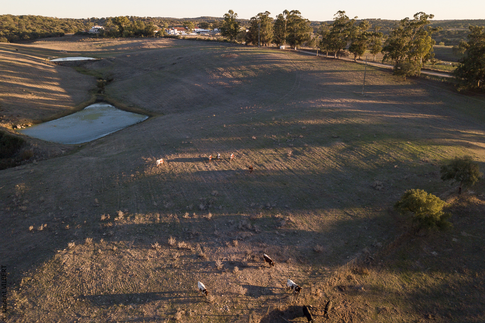 Pedrogao 20171113-0366