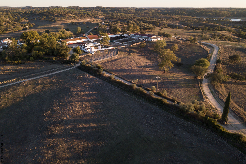 Pedrogao 20171113-0368