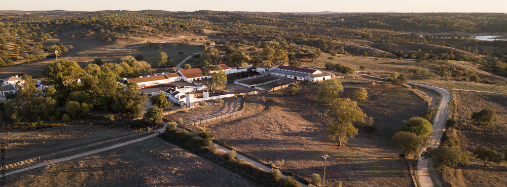 Pedrogao 20171113-0368