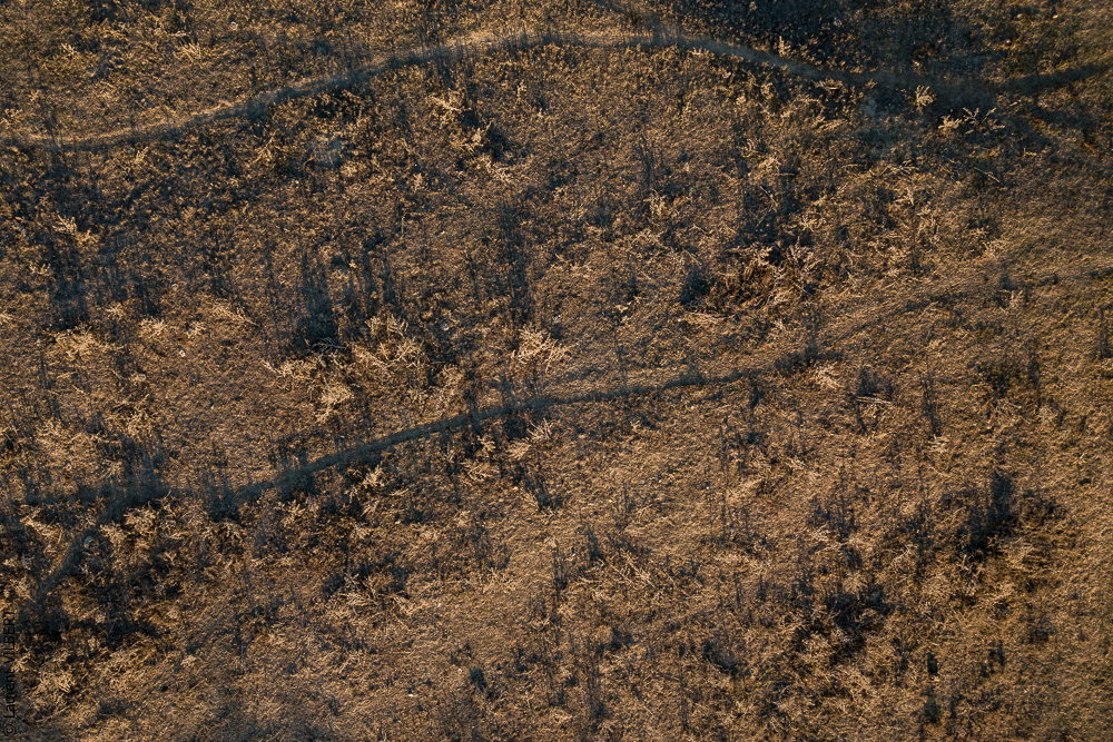 Pedrogao 20171113-0371