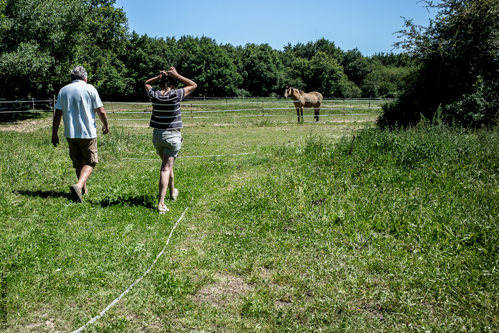 Elevage du Parc 20200711-0029