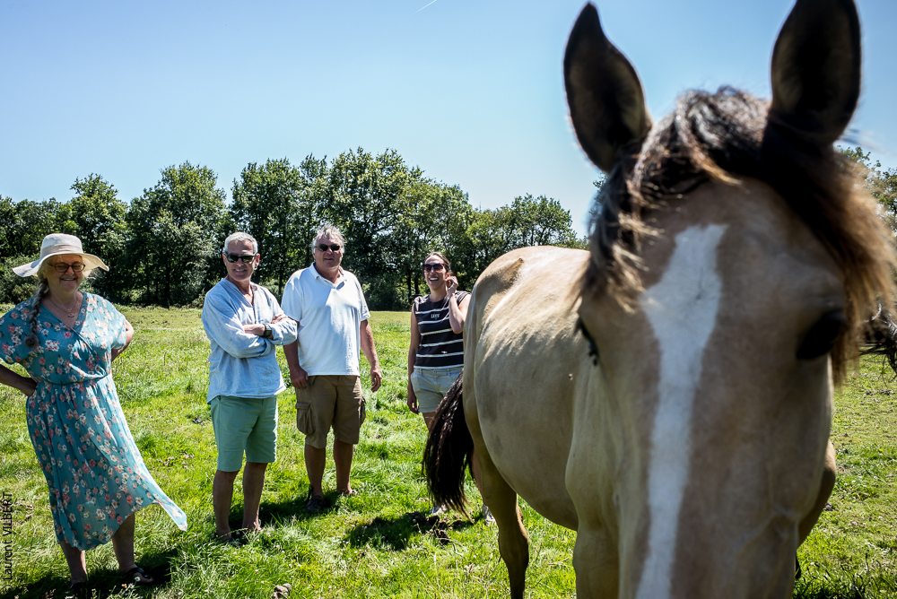 Elevage du Parc 20200711-0041