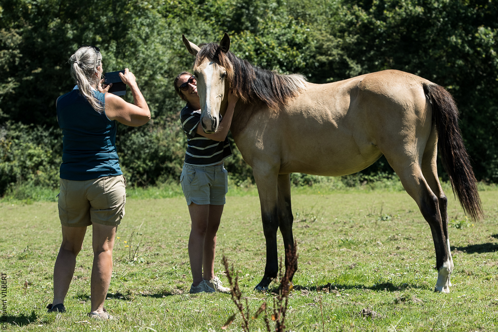 Elevage du Parc 20200711-0072