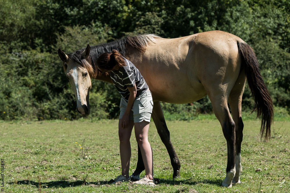 Elevage du Parc 20200711-0081