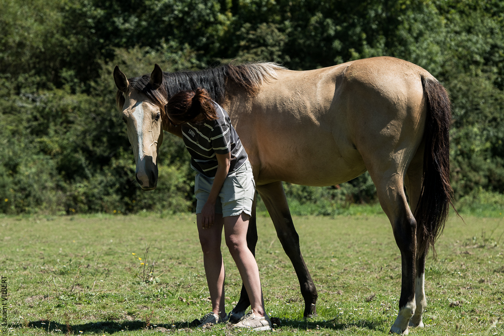 Elevage du Parc 20200711-0082