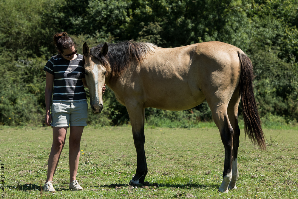 Elevage du Parc 20200711-0088