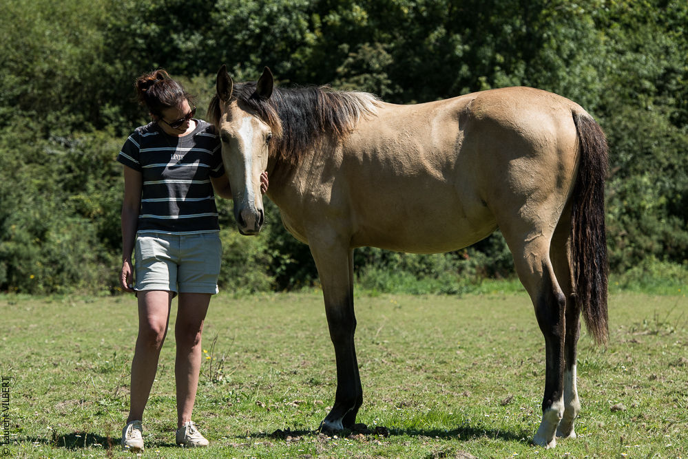 Elevage du Parc 20200711-0090