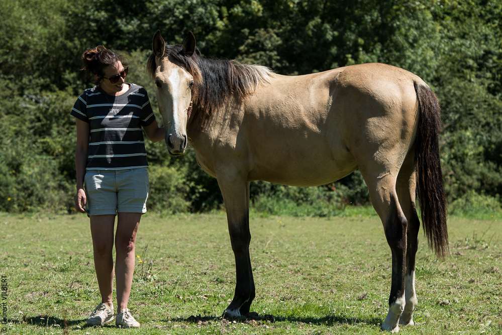 Elevage du Parc 20200711-0091