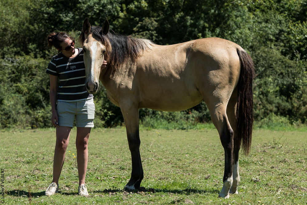 Elevage du Parc 20200711-0096