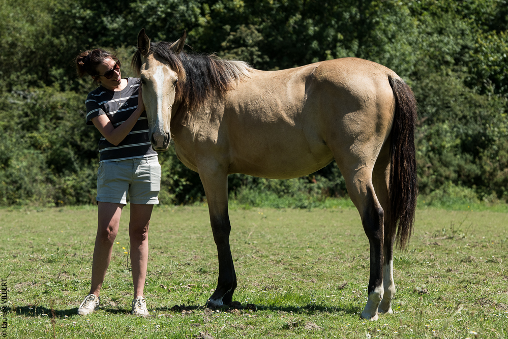 Elevage du Parc 20200711-0101