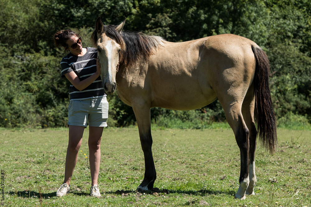 Elevage du Parc 20200711-0102