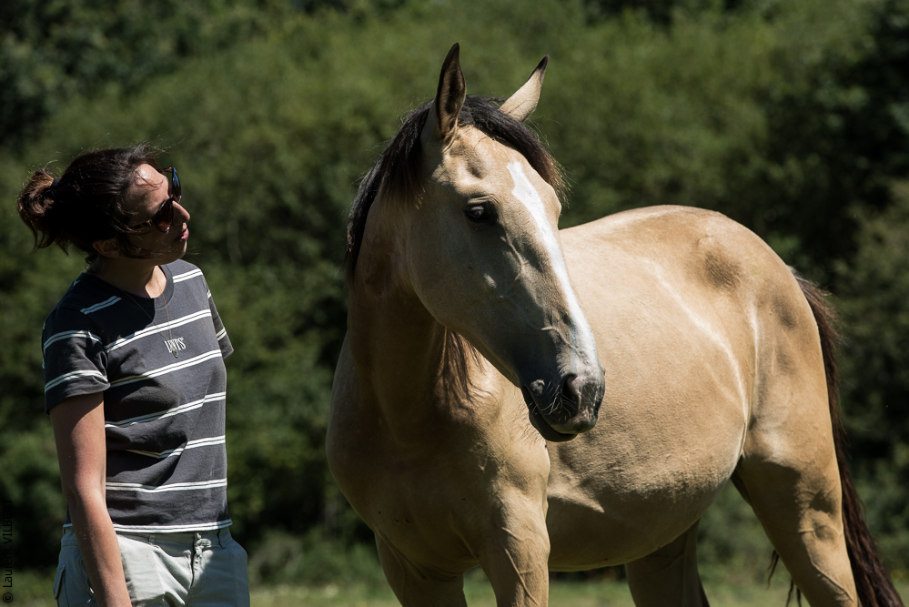 Elevage du Parc 20200711-0107