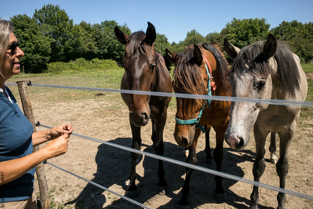 Elevage du Parc 20200711-0139