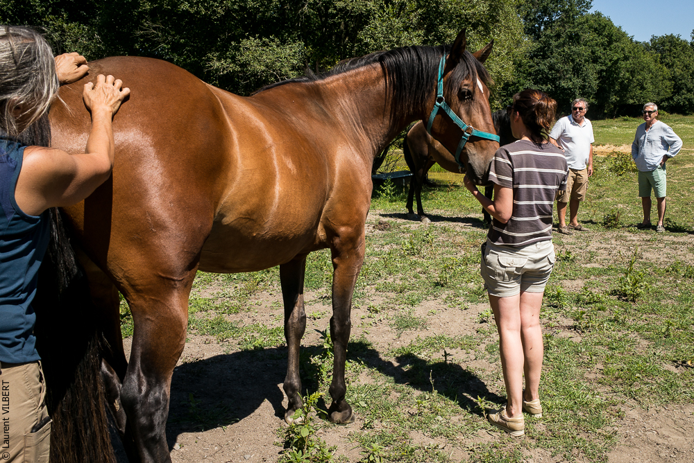 Elevage du Parc 20200711-0149