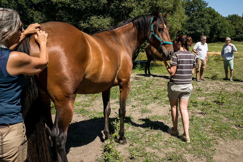 Elevage du Parc 20200711-0153