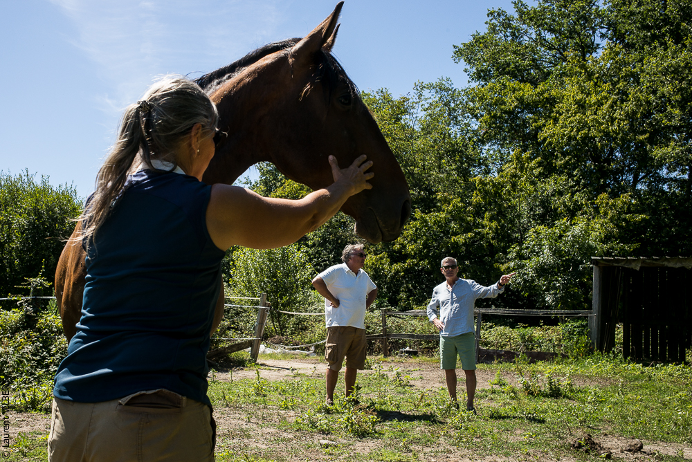 Elevage du Parc 20200711-0165
