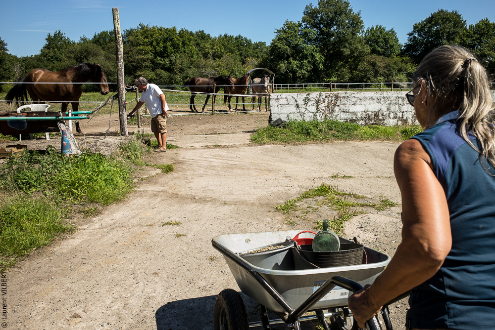 Elevage du Parc 20200711-0190