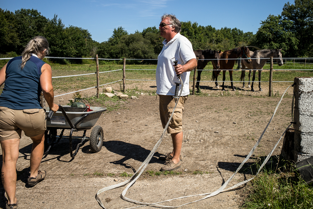 Elevage du Parc 20200711-0192